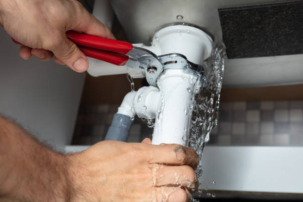 Best Water damage restoration near me  in Chickasaw, AL