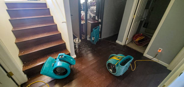 Best Water damage cleanup near me  in Chickasaw, AL
