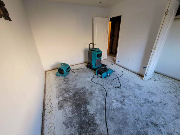 Best 24/7 water damage repair  in Chickasaw, AL