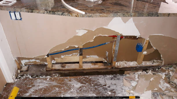 Best Ceiling water damage repair  in Chickasaw, AL