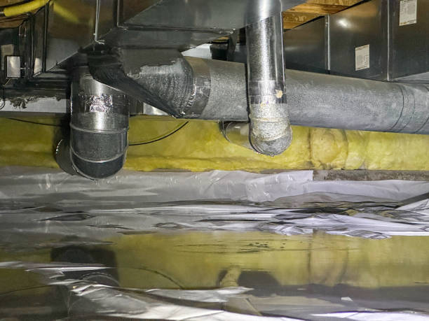 Best Carpet water damage restoration  in Chickasaw, AL
