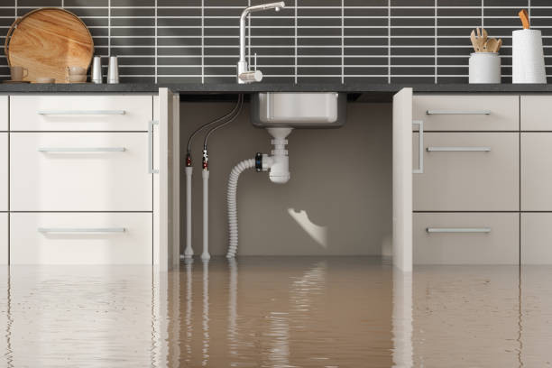 Best Water damage restoration near me  in Chickasaw, AL
