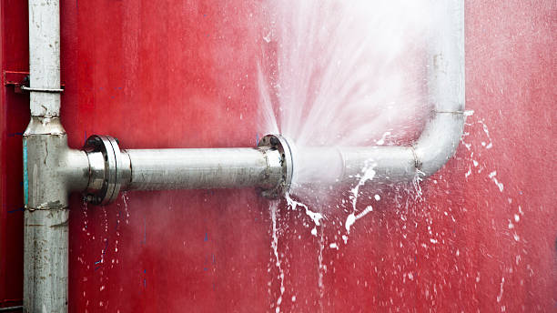 Best Mold removal after water damage  in Chickasaw, AL